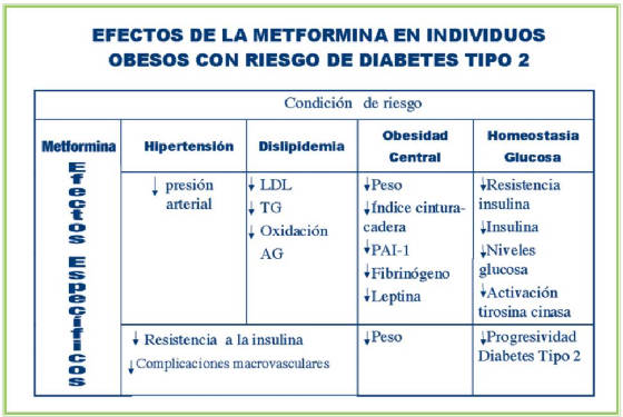 metformin.dm2.jpg