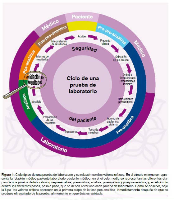 proceso.analitico.JPG