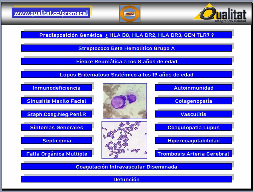 2022.FISIOPATOLOGIA.LES.JPG