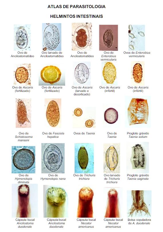 ATLAS.PARASITOLOGIA.JPG