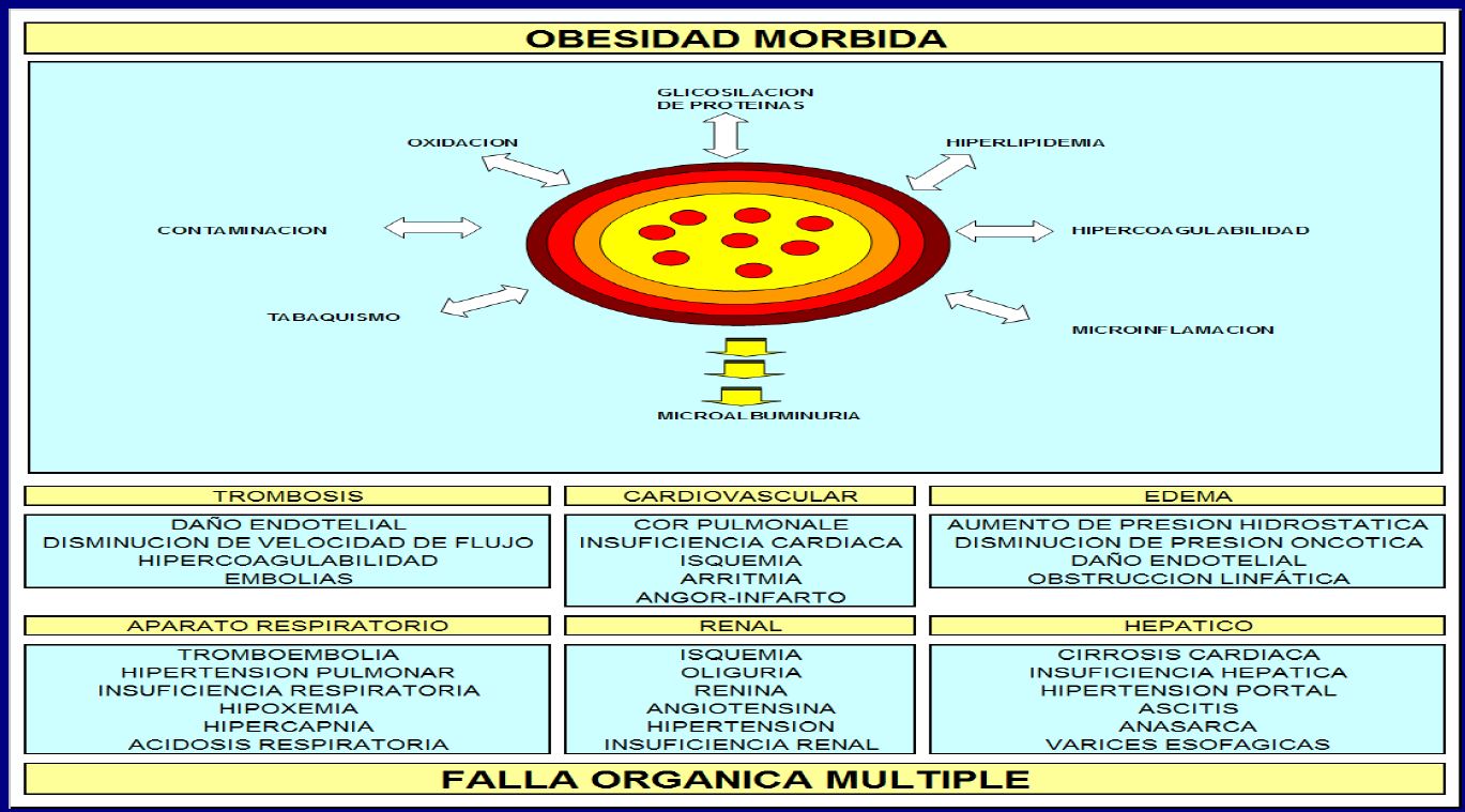 C190.OBESIDAD.FOM.JPG