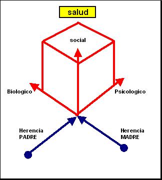 CRONOBIOLOGIA_3.jpg