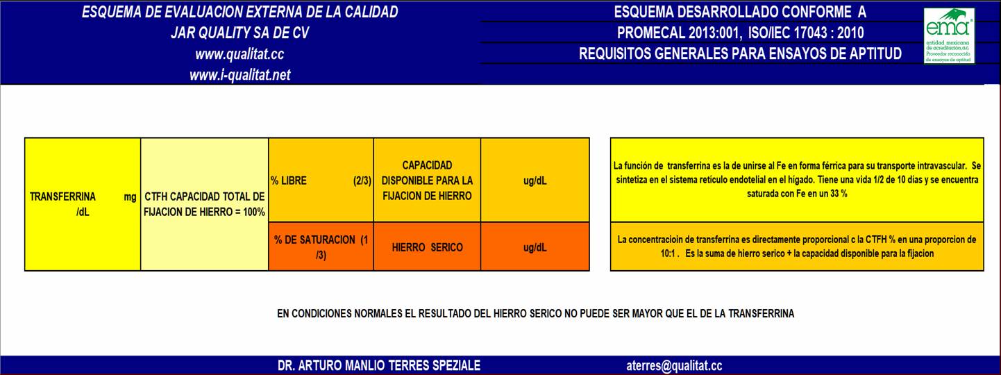 eeec.TRANSFERRINA.jpg