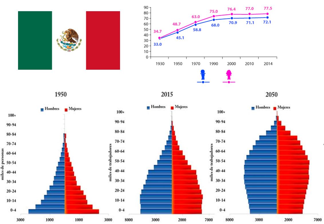 transicion.demografica.JPG